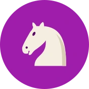 Knight